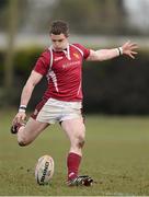 31 March 2013; Aaron Carroll, Roscrea. Provincial Towns Cup, Semi-Final, Roscrea v Longford, Edenderry RFC, Edenderry, Co. Offaly. Picture credit: David Maher / SPORTSFILE