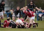 31 March 2013; Cormac Bulfin, Roscrea. Provincial Towns Cup, Semi-Final, Roscrea v Longford, Edenderry RFC, Edenderry, Co. Offaly. Picture credit: David Maher / SPORTSFILE