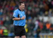 31 March 2013; Brian Gavin, referee. Allianz Hurling League, Division 1A, Kilkenny v Cork, Nowlan Park, Kilkenny. Picture credit: Brian Lawless / SPORTSFILE