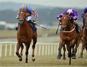 7 April 2013; Custom Cut, right, with Ronan Whelan up, on the way to winning the Big Bad Bob Gladness Stakes from second place Nephrite, left, with Joseph O'Brien. Curragh Racecourse, The Curragh, Co. Kildare. Picture credit: Matt Browne / SPORTSFILE