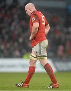 13 April 2013; A dejected Paul O'Connell, Munster, late in the game. Celtic League 2012/13, Round 20, Munster v Leinster, Thomond Park, Limerick. Picture credit: Brendan Moran / SPORTSFILE