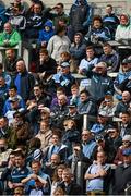 14 April 2013; Dublin supporters on Hill 16. Allianz Football League, Division 1, Semi-Final, Dublin v Mayo, Croke Park, Dublin. Picture credit: Ray McManus / SPORTSFILE
