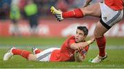 13 April 2013; Munster scrum-half Conor Murray watches a kick by his team-mate Ian Keatley. Celtic League 2012/13, Round 20, Munster v Leinster, Thomond Park, Limerick. Picture credit: Brendan Moran / SPORTSFILE