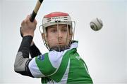 14 April 2013; Eoin Reilly, Laois. Allianz Hurling League, Division 2, Final, Laois v Westmeath, O'Connor Park, Tullamore, Co. Offaly. Picture credit: Matt Browne / SPORTSFILE
