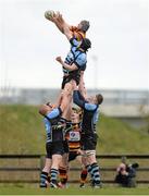 20 April 2013; Willie Earle, Lansdowne, wins possession in a line-out ahead of Sean McCarthy, Shannon. Ulster Bank League, Division 1A, Shannon v Lansdowne, Coonagh, Limerick. Picture credit: Diarmuid Greene / SPORTSFILE