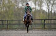 22 April 2013; The Nicky Henderson trained Sprinter Sacre, with work rider Sarah Shreeve up, during an early morning workout on the Punchestown Racecourse all-weather area ahead of tomorrow’s Boylesports.com Champion Chase. Tuesday is the opening day of The 2013 Punchestown Irish National Hunt Festival which runs until Saturday. Punchestown Racing Festival Preview, Punchestown Racecourse, Co. Kildare. Picture credit: Stephen McCarthy / SPORTSFILE