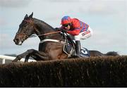 23 April 2013; Sprinter Sacre, with Barry Geraghty up, jumps the last, on the way to winning the Boylesports.com Champion Steeplechase. Punchestown Racecourse, Punchestown, Co. Kildare. Picture credit: Stephen McCarthy / SPORTSFILE
