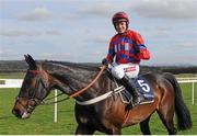 23 April 2013; Barry Geraghty, aboard Sprinter Sacre, after winning the Boylesports.com Champion Steeplechase. Punchestown Racecourse, Punchestown, Co. Kildare. Picture credit: Stephen McCarthy / SPORTSFILE