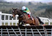 23 April 2013; Jezki, with Barry Geraghty, jumps the last on the way to winning the Herald Champion Novice Hurdle. Punchestown Racecourse, Punchestown, Co. Kildare. Picture credit: Stephen McCarthy / SPORTSFILE