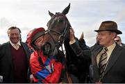 23 April 2013; Jockey Barry Geraghty kisses his mount Sprinter Sacre in company of trainer Nicky Henderson, left, and traveling head lad Albert &quot;Corky&quot; Browne, right, after winning the Boylesports.com Champion Steeplechase. Punchestown Racecourse, Punchestown, Co. Kildare. Picture credit: Barry Cregg / SPORTSFILE