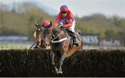 23 April 2013; Sprinter Sacre, with Barry Geraghty up, jumps the last on the way to winning the Boylesports.com Champion Steeplechase. Punchestown Racecourse, Punchestown, Co. Kildare. Picture credit: Barry Cregg / SPORTSFILE