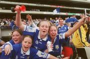 15 June 2003; Laois supporters celebrate at the final whistle of the Bank of Ireland Leinster Senior Football Championship Semi-Final match between Dublin and Laois at Croke Park in Dublin. Photo by Damien Eagers/Sportsfile