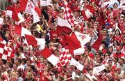 29 June 2003; Cork Supporters during the Guinness Munster Senior Hurling Championship Final match between Cork and Waterford at Semple Stadium in Thurles, Tipperary. Photo by David Maher/Sportsfile