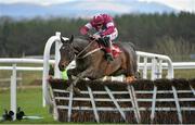 25 April 2013; Rye Martini, with Davu Russell up, jumps the last on the way to winning the Stephens Green Hibernian Club Hurdle. Punchestown Racecourse, Punchestown, Co. Kildare. Picture credit: Barry Cregg / SPORTSFILE