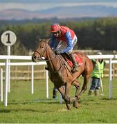 25 April 2013; Quevega, with Ruby Walsh up, races towards the finish on the way to winning the Ladbrokes World Series Hurdle. Punchestown Racecourse, Punchestown, Co. Kildare. Picture credit: Barry Cregg / SPORTSFILE