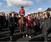 25 April 2013; Quevega, with Ruby Walsh up, being led into the winners enclosure after winning the Ladbrokes World Series Hurdle. Punchestown Racecourse, Punchestown, Co. Kildare. Picture credit: Barry Cregg / SPORTSFILE