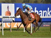 26 April 2013; Un De Sceaux, with Ruby Walsh up, on the way to winning the Star Best For Racing Coverage Novice Hurdle. Punchestown Racecourse, Punchestown, Co. Kildare. Picture credit: Barry Cregg / SPORTSFILE