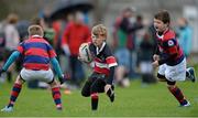 28 April 2013; Noah Sheridan, Wicklow RFC, in action against Charlie Coghlan, left, and Josh O'Mahony, Clontarf RFC, during their U10's Group match in the 2013 Seapoint International Mini Rugby Blitz, the largest rugby mini blitz in Ireland, with over 130 teams taking part. Seapoint RFC, Killiney, Co. Dublin. Picture credit: Brendan Moran / SPORTSFILE