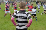 28 April 2013; An Old Belvedere RFC substitute looks on during an U10's match in the 2013 Seapoint International Mini Rugby Blitz, the largest rugby mini blitz in Ireland, with over 130 teams taking part. Seapoint RFC, Killiney, Co. Dublin. Picture credit: Brendan Moran / SPORTSFILE