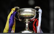 5 May 2013; The National Camogie League Division 1 trophy. Irish Daily Star National Camogie League Div 1 Final, Cork v Wexford, Nowlan Park, Kilkenny. Picture credit: Brendan Moran / SPORTSFILE