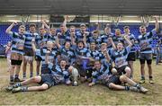 6 May 2013; The Navan squad celebrate with the cup after the game. Leinster Rugby Youths Finals Day Under-15 Final, Navan v Tullamore, Donnybrook Stadium, Donnybrook, Dublin. Picture credit: Pat Murphy / SPORTSFILE