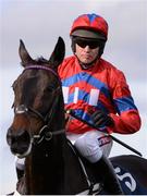 23 April 2013; Sprinter Sacre, with Barry Geraghty up, ahead of winnning the Boylesports.com Champion Steeplechase. Punchestown Racecourse, Punchestown, Co. Kildare. Picture credit: Stephen McCarthy / SPORTSFILE