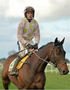 25 April 2013; Avika Ligeonniere, with Ruby walsh up, making their way to post ahead of the Ryanair Novice Chase. Punchestown Racecourse, Punchestown, Co. Kildare. Picture credit: Barry Cregg / SPORTSFILE