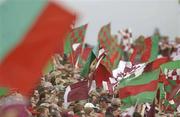 6 July 2003; Galway and Mayo supporters wave their flags during the pre-match parade. Bank of Ireland Connacht Senior Football Championship Final, Galway v Mayo, Pearse Stadium, Galway. Picture credit; Damien Eagers / SPORTSFILE *EDI*