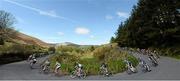 21 May 2013; A general view of competitors making their way around a hairpin bend in Curenney, Co. Tipperary, during Stage 3 of the 2013 An Post Rás. Nenagh - Listowel. Photo by Sportsfile