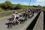 21 May 2013; A general view of the peloton between Cappaghmore and Boher during Stage 3 of the 2013 An Post Rás. Nenagh - Listowel. Photo by Sportsfile