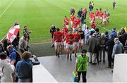 26 May 2013; Louth supporters applaud the team as they leave the field after the game. Leinster GAA Football Senior Championship, First Round, Laois v Louth, O'Moore Park, Portlaoise, Co. Laois. Picture credit: Dáire Brennan / SPORTSFILE