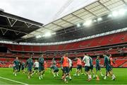 28 May 2013; A general view during Republic of Ireland squad training ahead of their International Friendly against England on Wednesday. Republic of Ireland Squad Training, Wembley Stadium, London, England. Picture credit: David Maher / SPORTSFILE