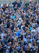 1 June 2013; Dublin supporters, on Hill 16, celebrate after Paddy Anderws had scored the Dublin goal. Leinster GAA Football Senior Championship Quarter-Final, Dublin v Westmeath, Croke Park, Dublin. Picture credit: Ray McManus / SPORTSFILE