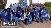 Leinster fans at Zebre v Leinster