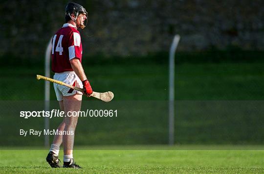 Galway v Laois - National Hurling League Division 1