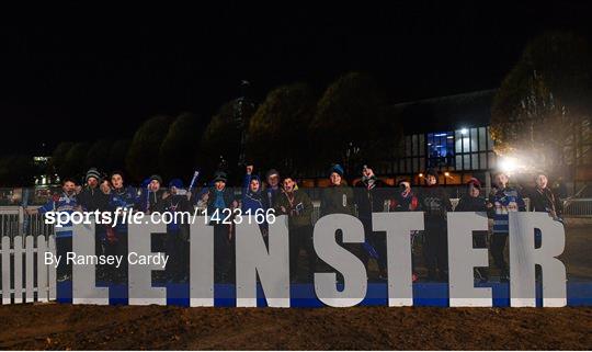 Fans at Leinster v Dragons - Guinness PRO14 Round 9