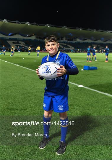 Mascots at Leinster v Dragons - Guinness PRO14 Round 9
