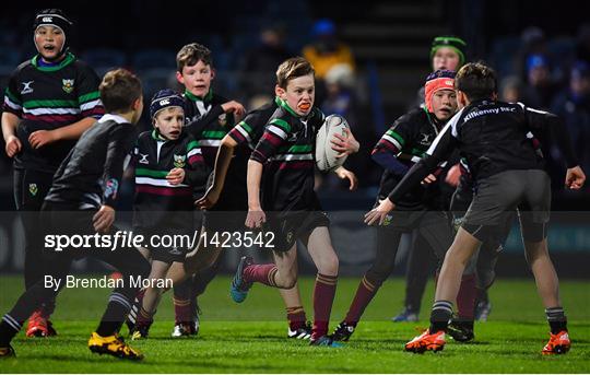 Bank of Ireland Half-Time Minis at Leinster v Dragons - Guinness PRO14 Round 9