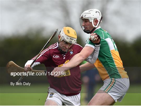 Offaly v Westmeath - Bord na Móna Walsh Cup Group 4 First Round