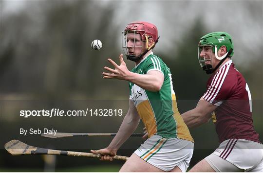 Offaly v Westmeath - Bord na Móna Walsh Cup Group 4 First Round
