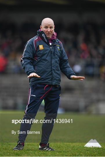 Westmeath v Offaly - Bord na Mona O'Byrne Cup semi-final