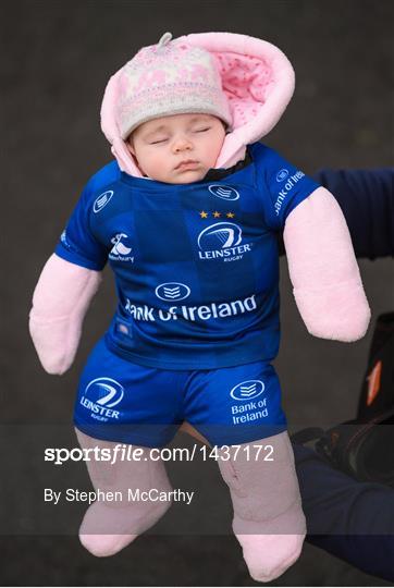 Fans at Leinster v Glasgow Warriors - European Rugby Champions Cup Pool 3 Round 5