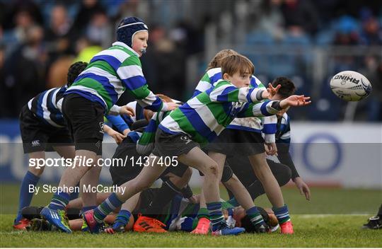 Bank of Ireland Half-Time Minis at Leinster v Glasgow Warriors - European Rugby Champions Cup Pool 3 Round 5