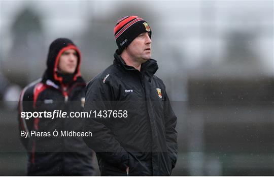 Roscommon v Mayo - Connacht FBD League Round 4