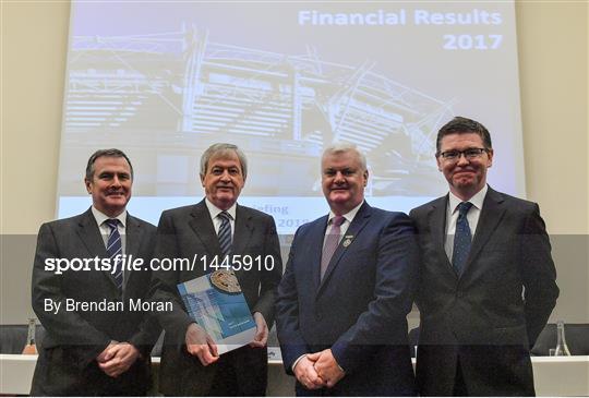 GAA 2017 Financial Annual Report