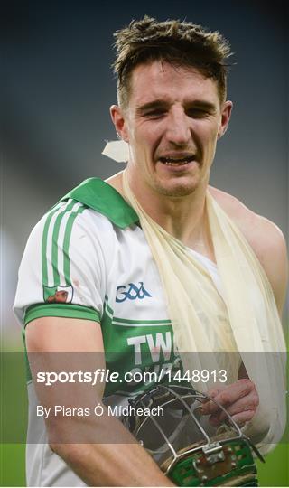 club hurling final st patricks day backgrounds