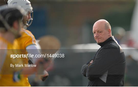 Antrim v Dublin - Allianz Hurling League Division 1B Round 2