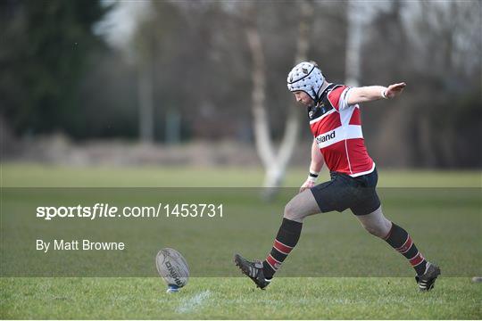 North Kildare v Wicklow - Bank of Ireland Provincial Towns Cup Round 2