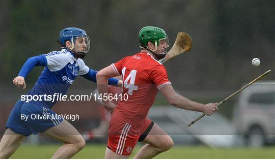 Monaghan v Tyrone - Allianz Hurling League Division 3A Round 3