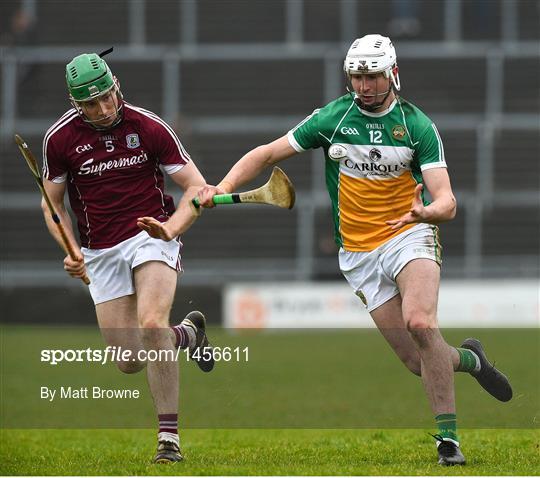 Galway v Offaly - Allianz Hurling League Division 1B Round 3